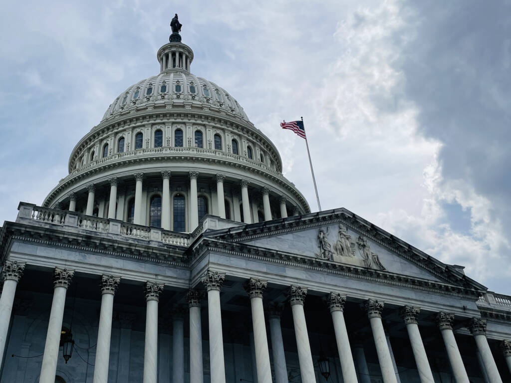 capitol building representing federal government